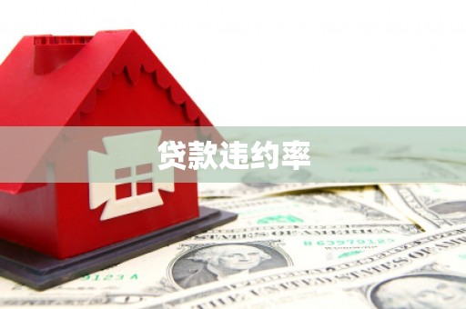 淇县贷款违约率