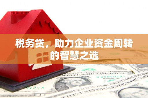 淇县税务贷，助力企业资金周转的智慧之选
