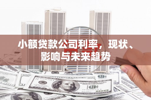 淇县小额贷款公司利率，现状、影响与未来趋势