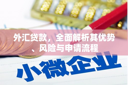 淇县外汇贷款，全面解析其优势、风险与申请流程