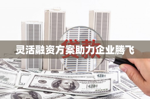 淇县灵活融资方案助力企业腾飞