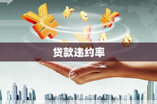 淇县贷款违约率