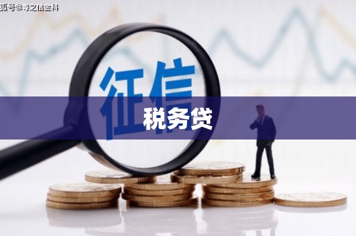 淇县税务贷