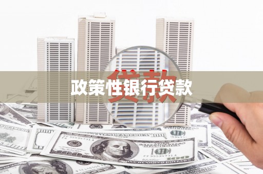 淇县政策性银行贷款
