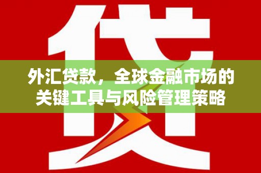 淇县外汇贷款，全球金融市场的关键工具与风险管理策略