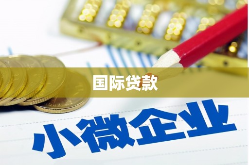 淇县国际贷款