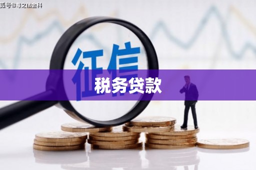 淇县税务贷款