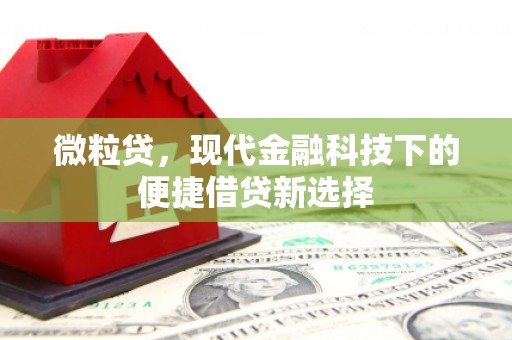 淇县微粒贷，现代金融科技下的便捷借贷新选择