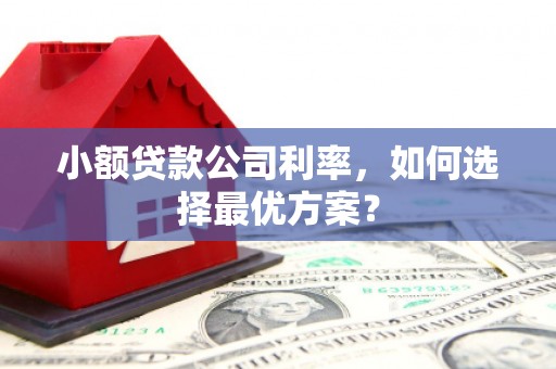 淇县小额贷款公司利率，如何选择最优方案？