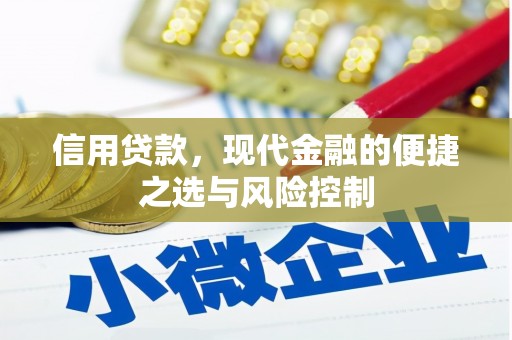 淇县信用贷款，现代金融的便捷之选与风险控制