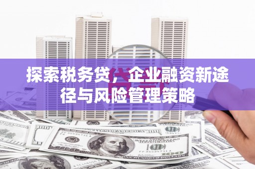 淇县探索税务贷，企业融资新途径与风险管理策略
