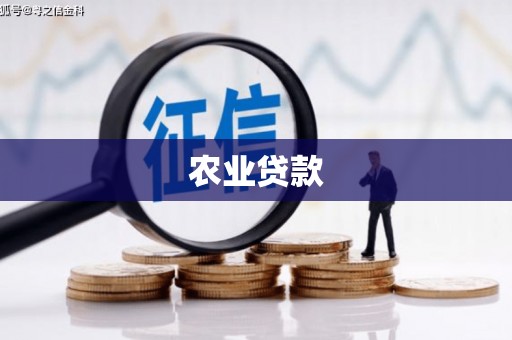 淇县农业贷款