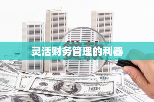 淇县灵活财务管理的利器
