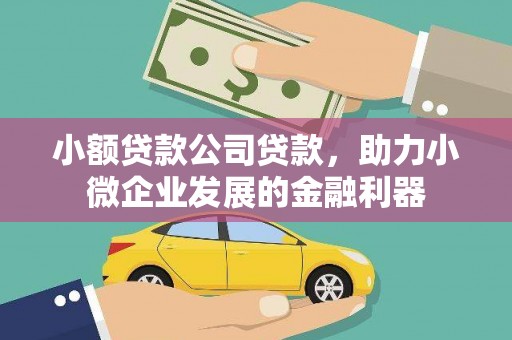 淇县小额贷款公司贷款，助力小微企业发展的金融利器