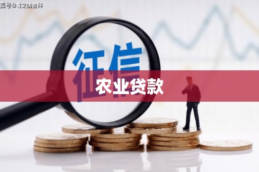 淇县农业贷款