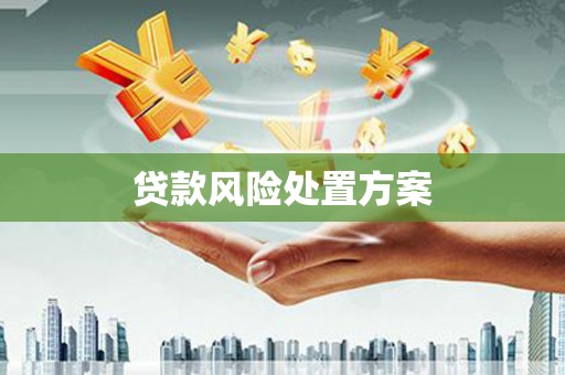 淇县贷款风险处置方案