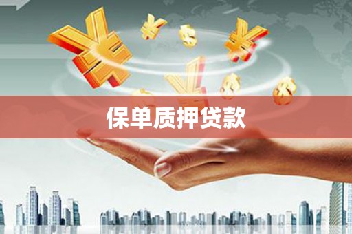 淇县保单质押贷款