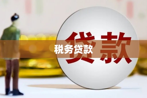 淇县税务贷款