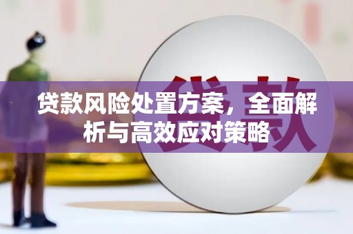 淇县贷款风险处置方案，全面解析与高效应对策略