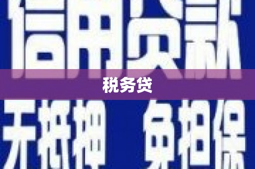 淇县税务贷