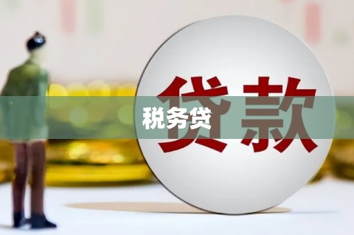 淇县税务贷