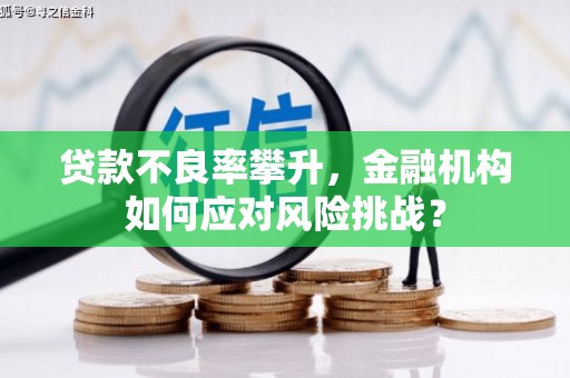 淇县贷款不良率攀升，金融机构如何应对风险挑战？