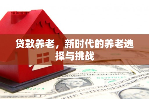淇县贷款养老，新时代的养老选择与挑战