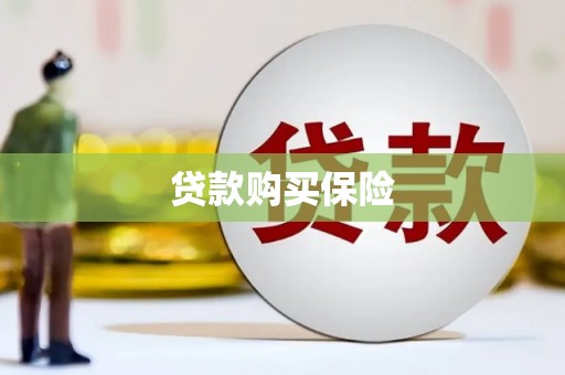 淇县贷款购买保险