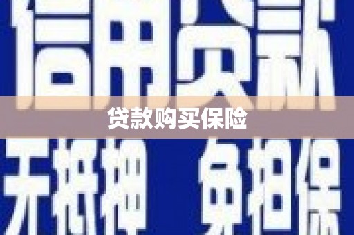 淇县贷款购买保险