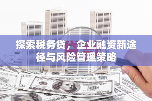淇县探索税务贷，企业融资新途径与风险管理策略