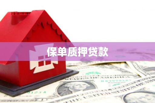淇县保单质押贷款