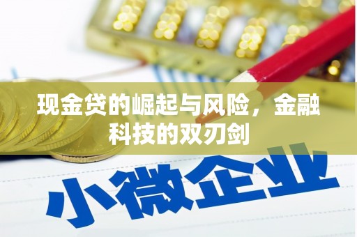 淇县现金贷的崛起与风险，金融科技的双刃剑