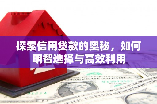 淇县探索信用贷款的奥秘，如何明智选择与高效利用