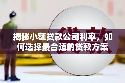 淇县揭秘小额贷款公司利率，如何选择最合适的贷款方案