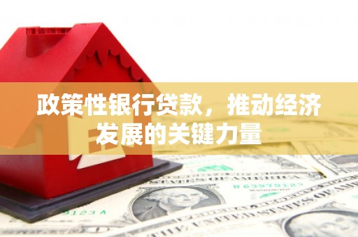 淇县政策性银行贷款，推动经济发展的关键力量