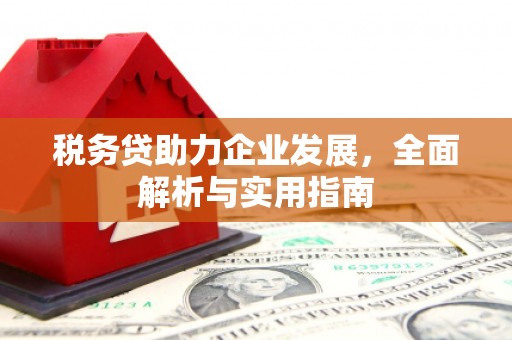 淇县税务贷助力企业发展，全面解析与实用指南