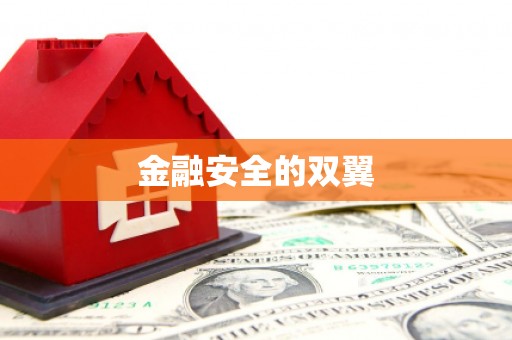 淇县金融安全的双翼