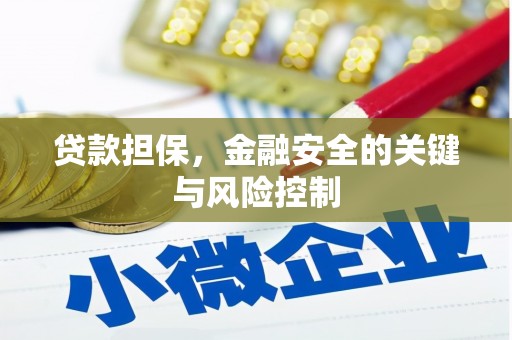 淇县贷款担保，金融安全的关键与风险控制