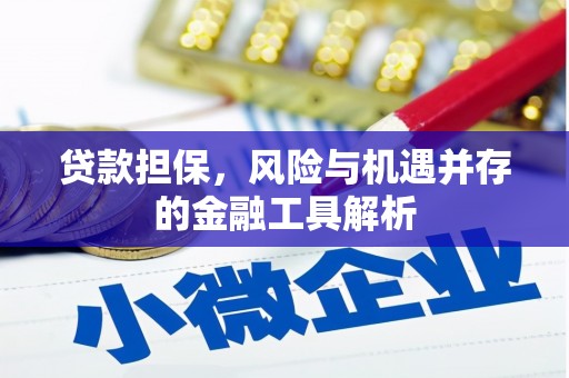 淇县贷款担保，风险与机遇并存的金融工具解析