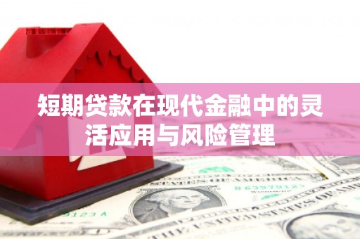 淇县短期贷款在现代金融中的灵活应用与风险管理