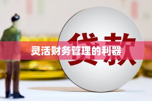 淇县灵活财务管理的利器