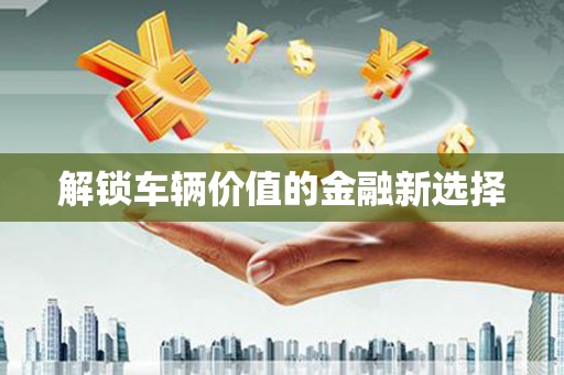 淇县解锁车辆价值的金融新选择