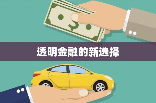 淇县透明金融的新选择