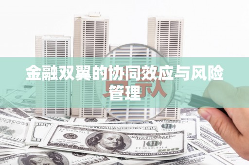 淇县金融双翼的协同效应与风险管理