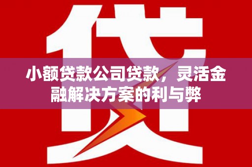 淇县小额贷款公司贷款，灵活金融解决方案的利与弊