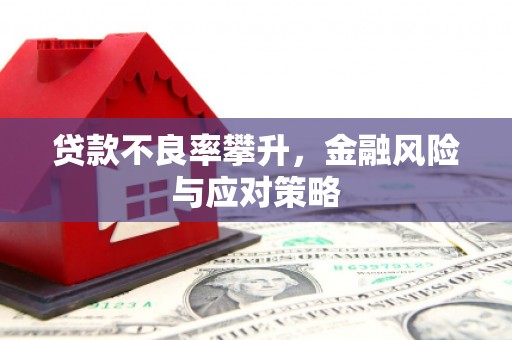 淇县贷款不良率攀升，金融风险与应对策略
