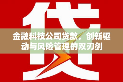 淇县金融科技公司贷款，创新驱动与风险管理的双刃剑